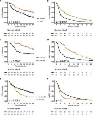 Predicting survival of NSCLC patients treated with immune checkpoint inhibitors: Impact and timing of immune-related adverse events and prior tyrosine kinase inhibitor therapy